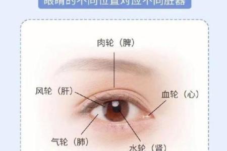 面相算命入门：五色