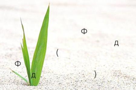 诸葛测字算命