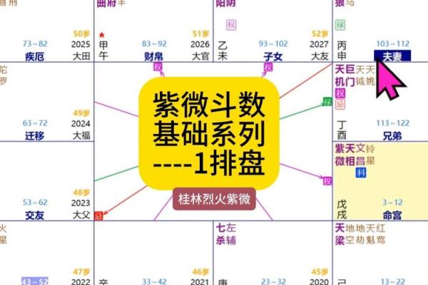 紫微斗数弱智 紫微斗数看智力？