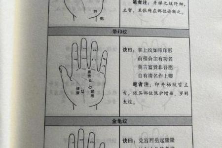 看手相算命：第三课 指头与掌型