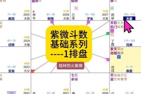 紫微斗数弱智 紫微斗数看智力？