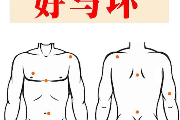 胸部痣相图解算命