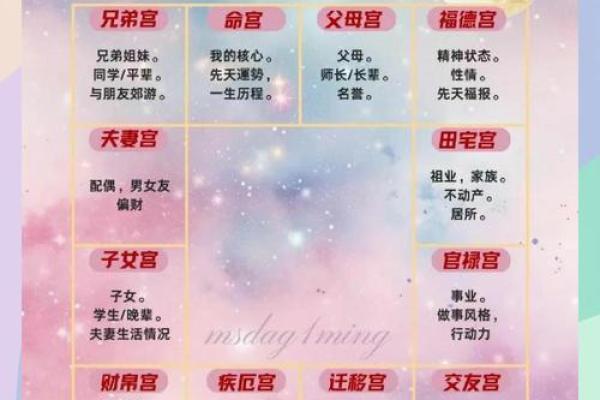 紫薇斗数各宫位