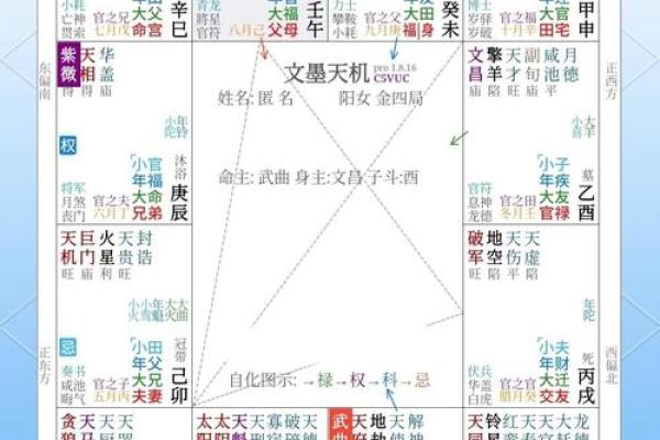 紫薇斗数难学吗