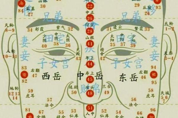 通过脸算命