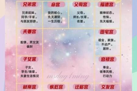 紫薇斗数各宫位