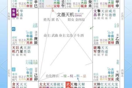 紫薇斗数难学吗