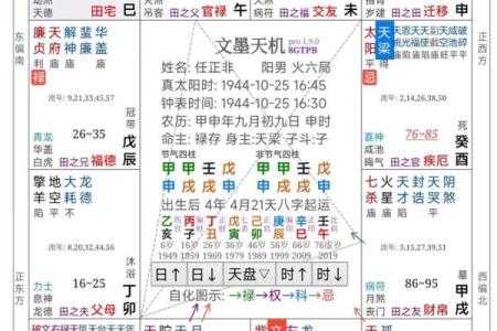 毛紫薇斗数