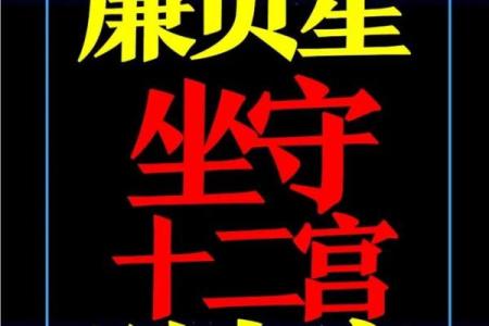 元贞亨利紫薇斗数