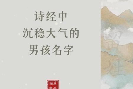 禹姓男孩名字大全-禹姓男孩起名字大全-禹姓名字大全姓名