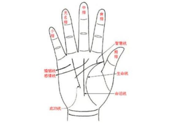 女人右手掌纹图解算命
