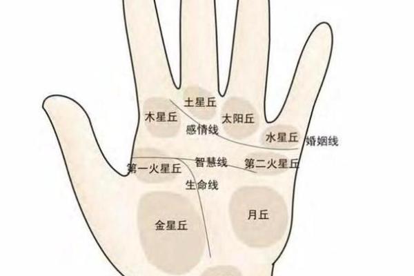 女人右手掌纹图解算命