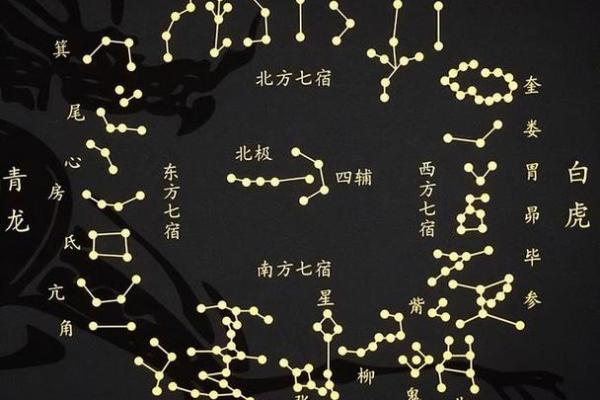 紫薇斗数星大全