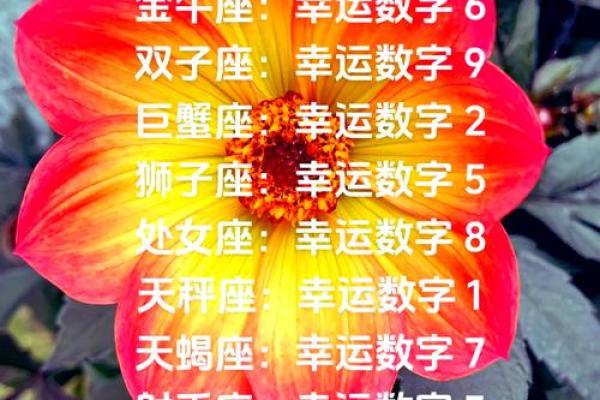 金牛座12月6日星座运势