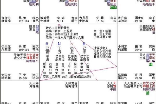 紫薇斗数排第几