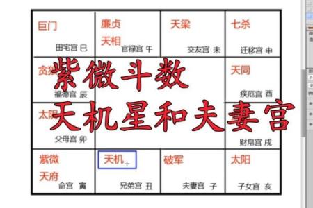 太阳在夫妻宫，紫微斗数太阳星入夫妻宫