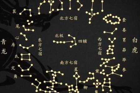 紫薇斗数星大全