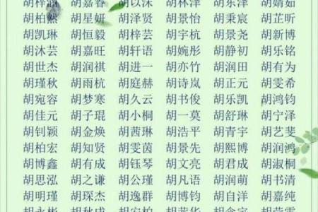 测试大师姓名配对免费版 测试姓名大全？
