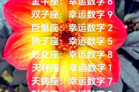 金牛座12月6日星座运势