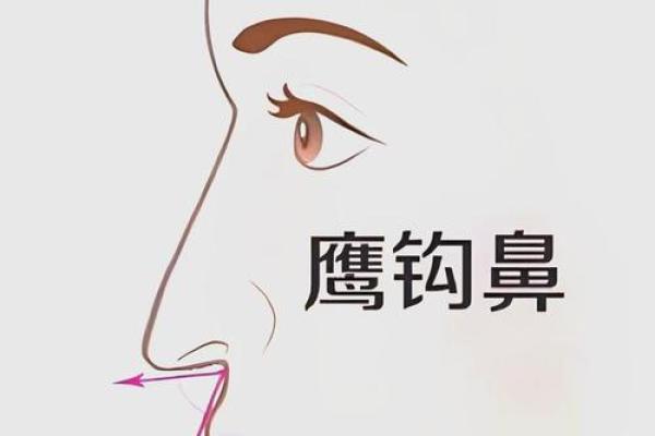 风水面相嫁给鹰钩鼻男人的下场会幸福吗