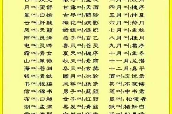 八字txt
