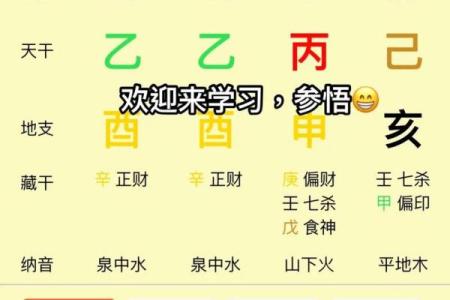 排八字排盘
