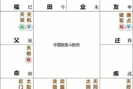 紫薇斗数化禄在夫妻宫