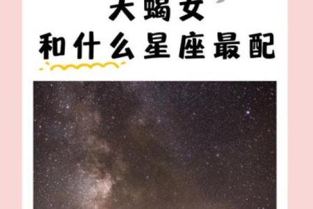 最适合做销售的是什么星座女