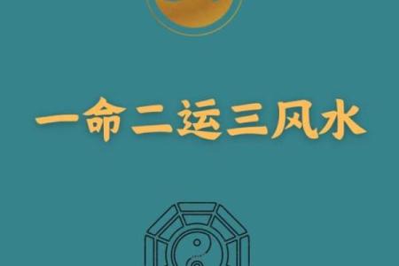 这年头一定要会点风水