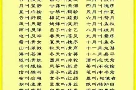 八字txt