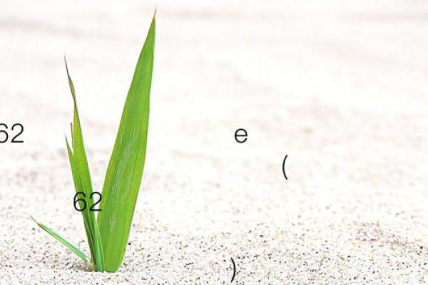 月老灵签53签求解