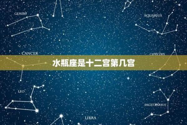最新一周星座运势水瓶座