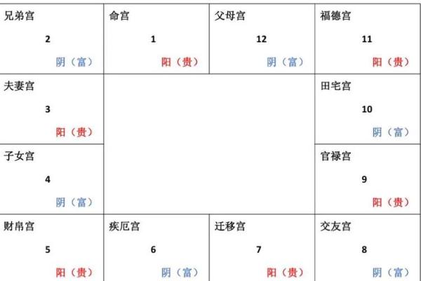紫薇斗数格局图