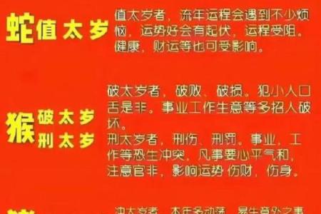 岁适合算命吗吗