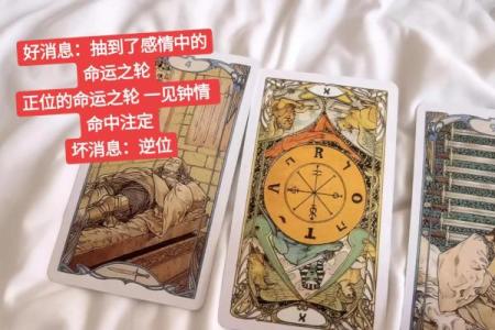 塔罗测试你下一世缘分 塔罗测你下一段恋爱？