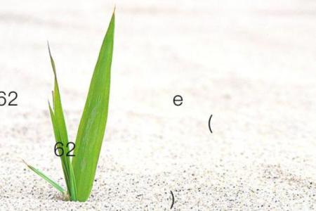 月老灵签53签求解