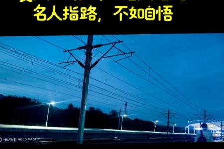 读万卷书不如行万里路，紫微斗数之天马星