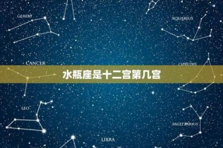 最新一周星座运势水瓶座