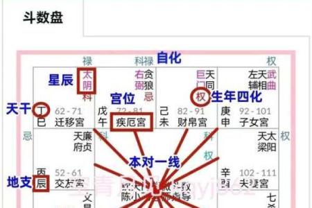 紫薇斗数格局图