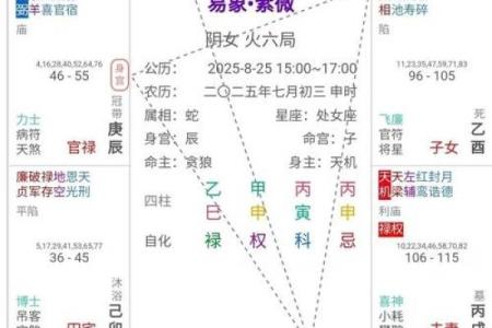 紫微斗数之疾厄宫与诸星，太阳星在疾病宫是什么意思？