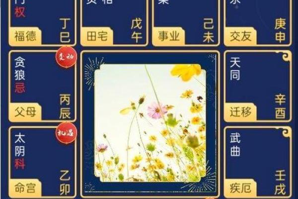 紫薇斗数真的准码