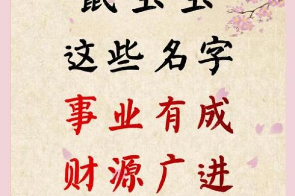 属鼠辰时出生的男孩宜用什么字取名字，怎样取名字姓名