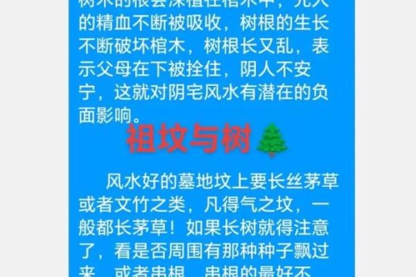 祖坟风水有什么影响-