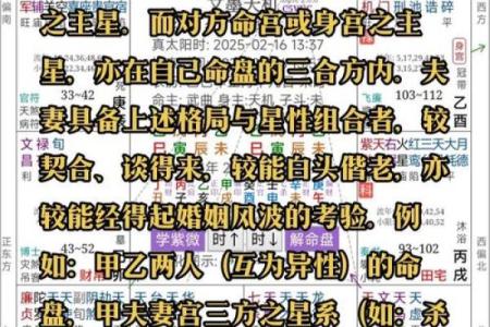 怎么解紫薇斗数