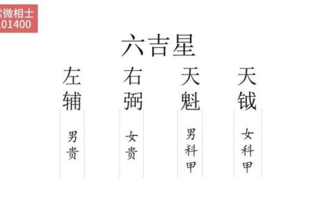 紫薇斗数传人