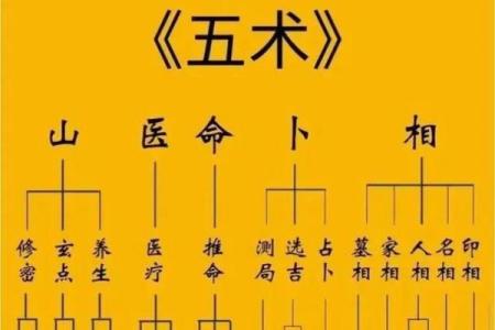 紫薇斗数第三者