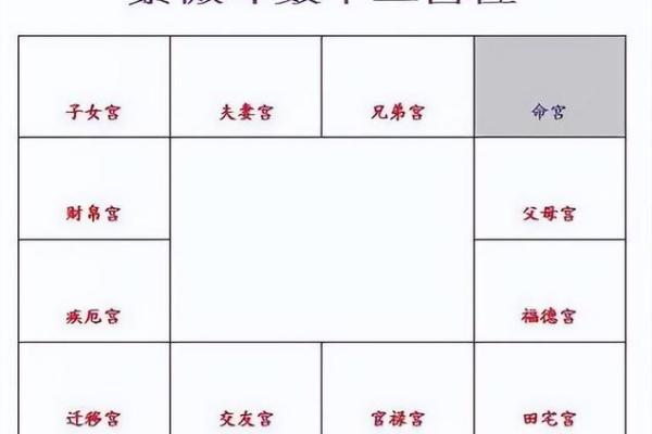紫薇斗数一等命盘