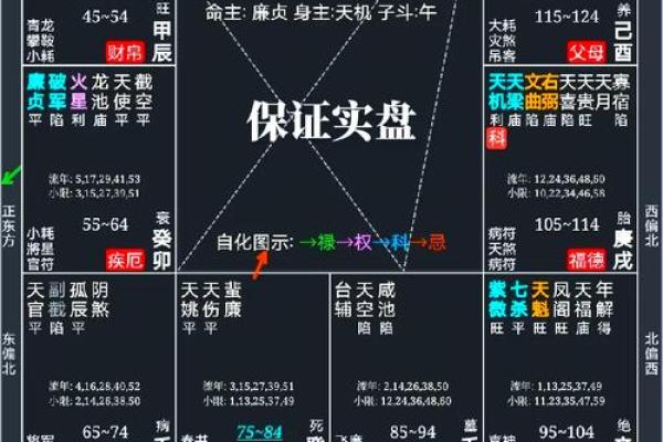 紫微斗数地劫星之十二宫释义