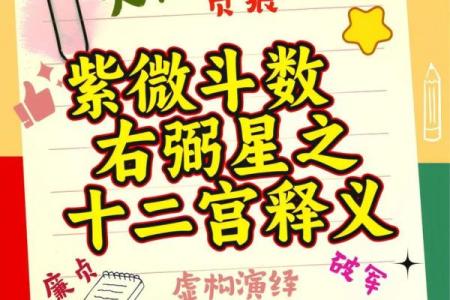 紫薇斗数实例详解视频