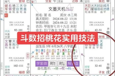 紫薇斗数看老运